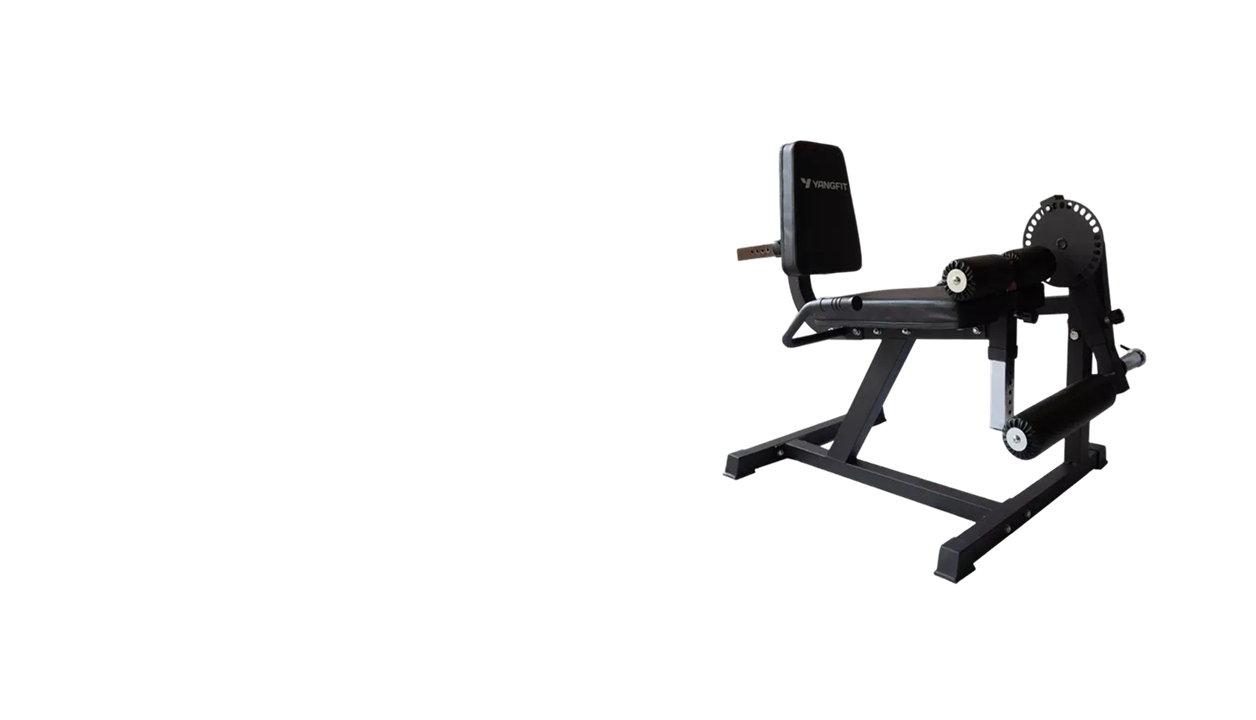 Cadeira Extensora e Flexora Ajuste de Cargas Anilhas Yangfit