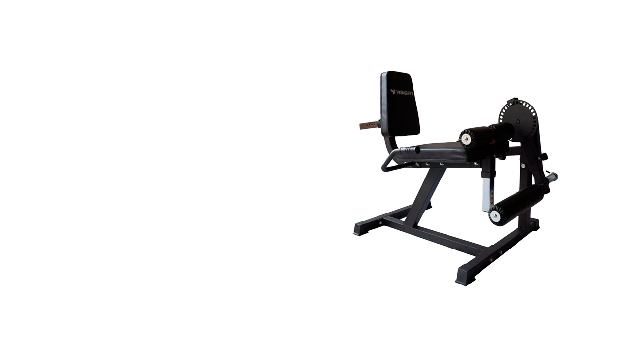 Cadeira Extensora e Flexora Yangfit