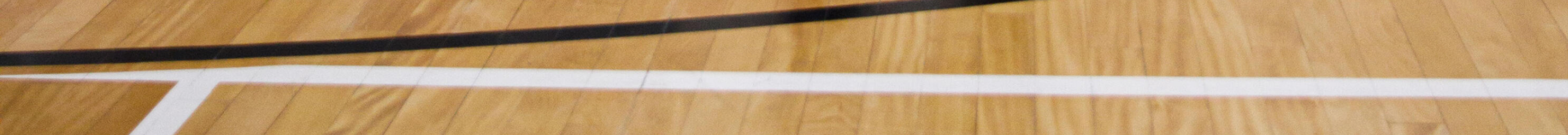 Wilson Acessórios Esportivos