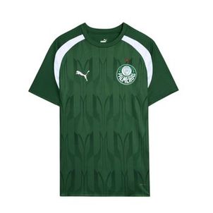 Camisa Palmeiras 2024 Puma Pré-Jogo Masculina - Verde