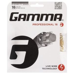 Antivibrador Wilson Roland Garros Dampener Clay com 02 Unidades