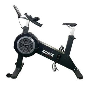 Bike Erg Premium Xebex Fitness
