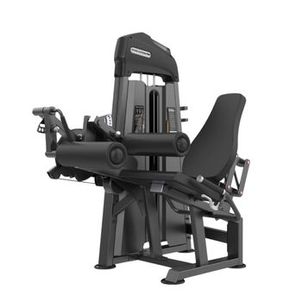 Cadeira Extensora Flexora LF 6110