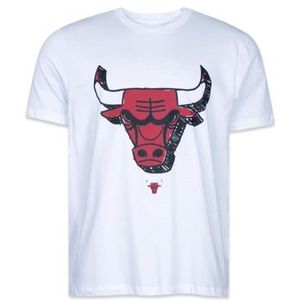 Camiseta masculina NBA New Era Chicago Bulls
