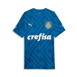 Camisa Palmeiras 2024 Puma  Goleiro Torcedor Home Masculina - Azul