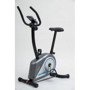 Bicicleta Ergométrica Vertical Magnética Winner Fitness WB 300