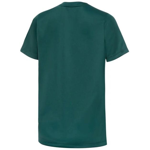 *csa palmeiras 1914 ii jr oi25, 14 years Verde 7-8 ANOS