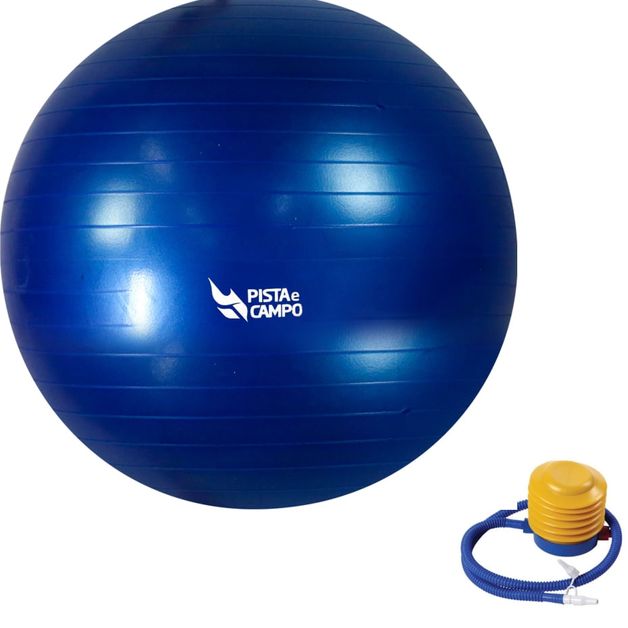 Bola Professional Gym Ball - 65cm Acompanha DVD com orientações para  exercícios e bomba para inflar.