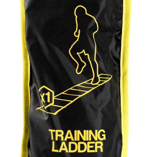 training-ladder-6