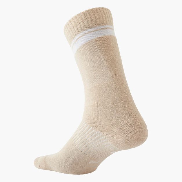 Ils-socks100-2.5-5---35-38-41-44-BR