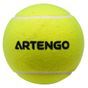artengo-tb-jumbo-ball-1