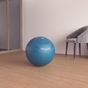 Swiss-ball-basic-small-bleu-vert-s