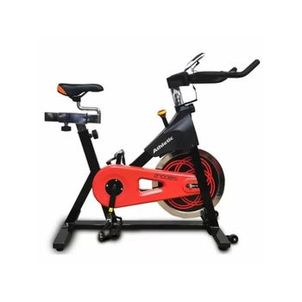 Bicicleta Spinning Athletic Advanced 2100BS Suporta 125kg