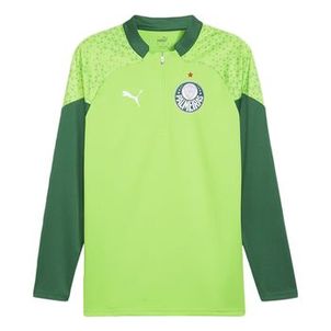BLUSA DE TREINO PUMA PALMEIRAS 1/4 ZIP 2024 MASCULINA
