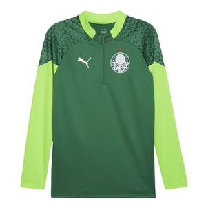 BLUSA DE TREINO PUMA PALMEIRAS 1/4 ZIP 2024 MASCULINA