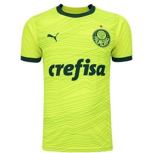 Camiseta Puma Palmeiras III 23 Torcedor Masculina
