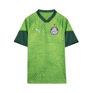 Camisa Palmeiras 2024 Puma Treino E Torcedor Masculina - Verde