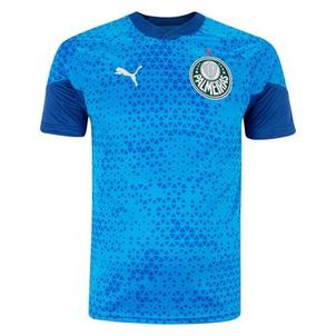 CAMISA DE TREINO E VIAGEM PUMA PALMEIRAS 2024 MASCULINA - TORCEDOR