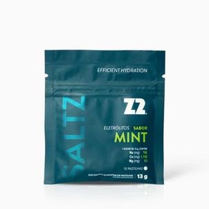Pastilhas Saltz Mint 13g Z2