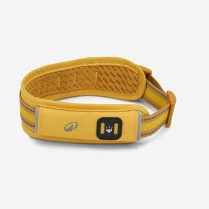 COLEIRA PARA CÃO OUTDOOR 500 Amarela