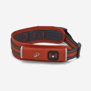 COLEIRA PARA CÃO OUTDOOR 500 Terracotta