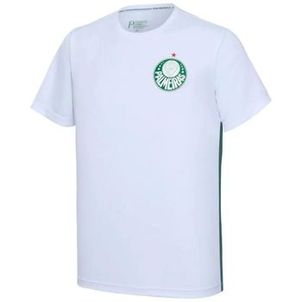 Camisa Masculina de futebol Palmeiras Player II