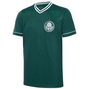 Camisa masculina Palmeiras II home