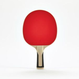 Raquete de Ping Pong PPR 500