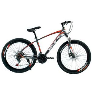 Bicicleta Aro 26 Alumínio Bike 21 Vel Freio a Disco Cinza e Vermelho WCT FITNESS