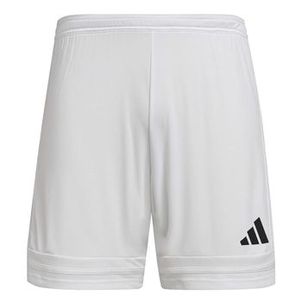 Bota Bull Terrier Masculina Dakar