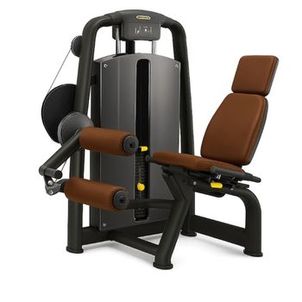 Máquina Flexora Sentada Profissional Premium para Pernas
