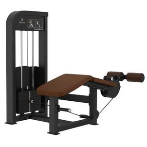 Mesa Flexora Deitado Profissional Premium para Posterior de Coxa
