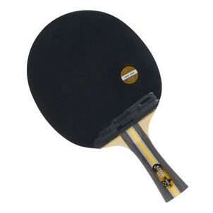Raquete de Tênis de Mesa DHS H3002 - Clássica