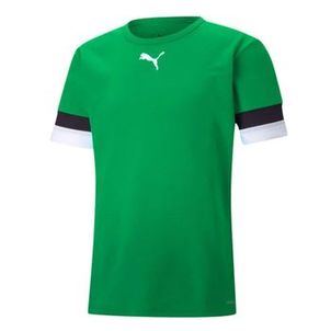 Camiseta Puma TeamRise Jersey Masculina