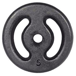 Anilha de Ferro Pintada 5kg Vazada