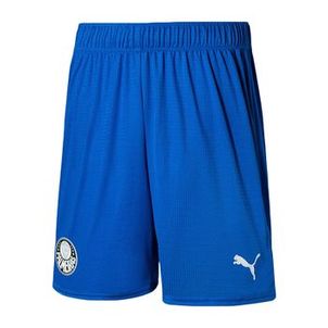 CALÇÃO DE GOLEIRO PUMA PALMEIRAS I 2023 MASCULINO
