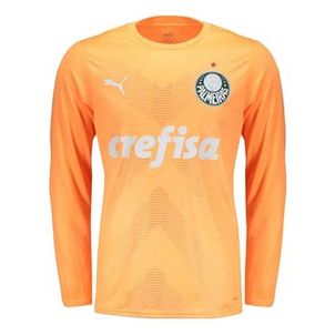 Camisa De Goleiro Puma Palmeiras Iii 2023 Masculina - Torcedor Ml