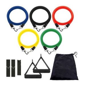 Kit de elásticos WCT Fitness