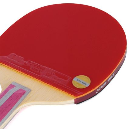 Decathlon | Raquete de Tênis de Mesa DHS H4006 Classineta