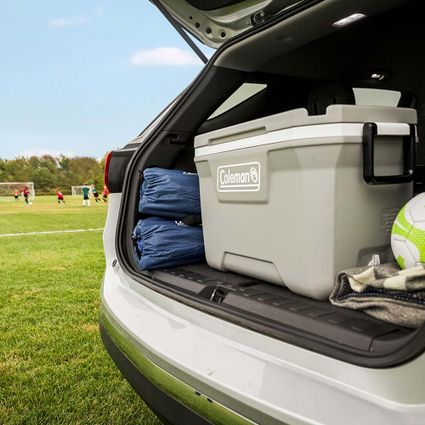 Decathlon | Caixa Térmica 49L Silver Ash Coleman