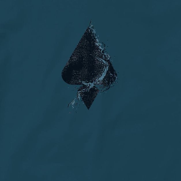 17158681972457