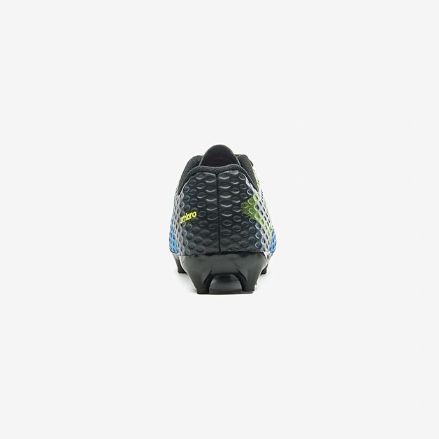 17077651160898