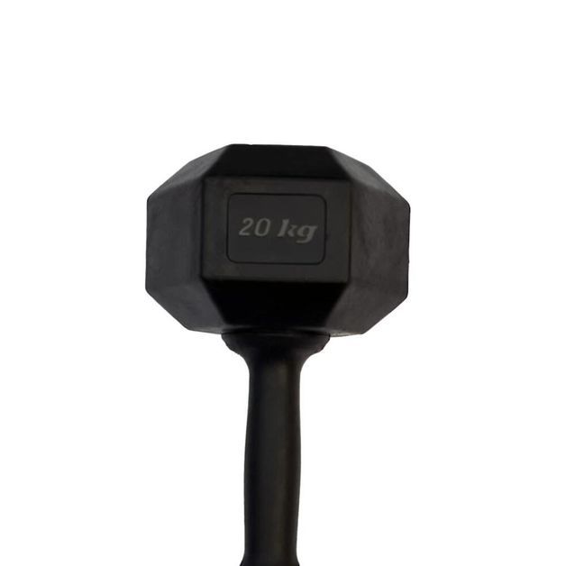 *hex dumbbell 20kg pto equilibr, no size