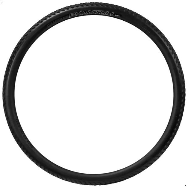 17310786837524