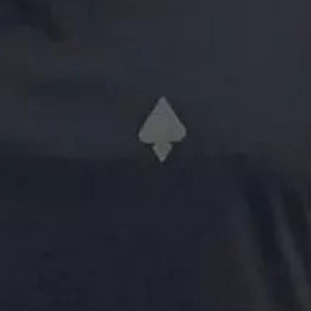 17355638045157