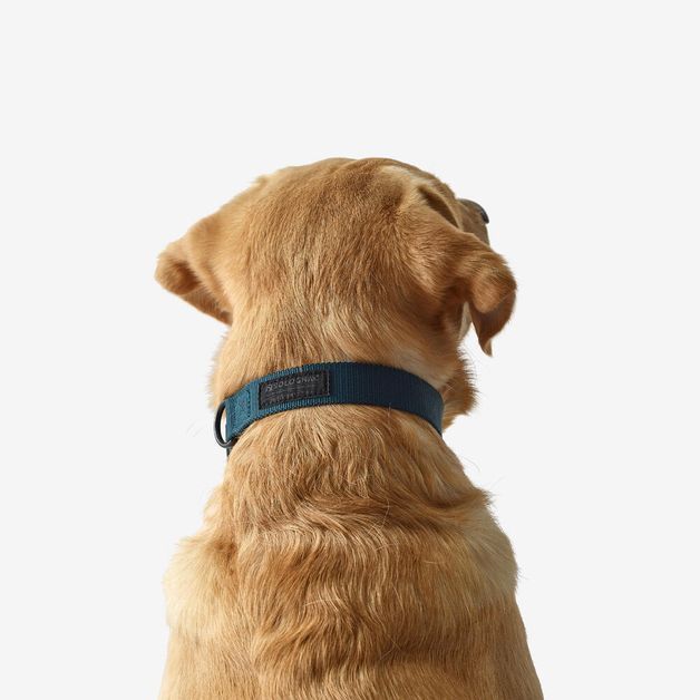 Blue dog collar 100 eco, l Azul G