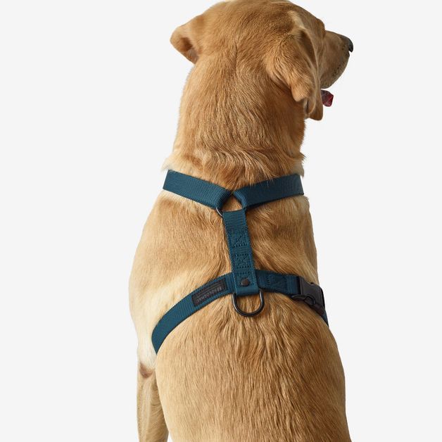 Blue dog harness, l Azul G