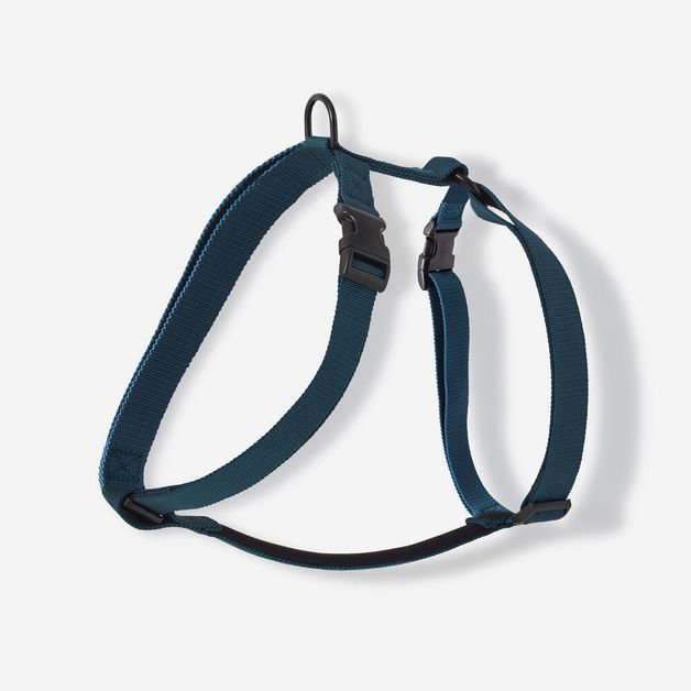 Blue dog harness, l Azul G
