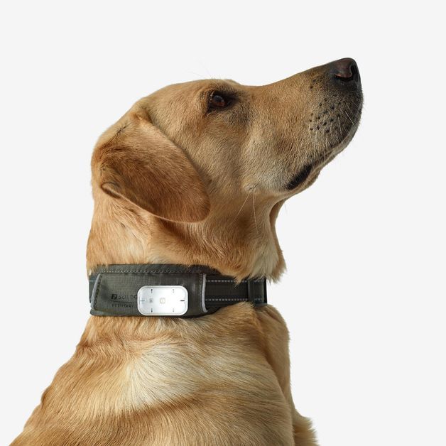 Dog collar outdoor 500 terracotta, l Verde G