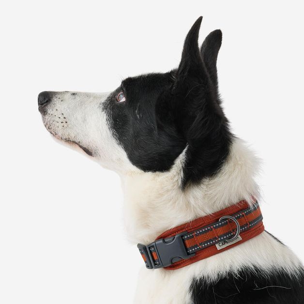 Dog collar outdoor 500 terracotta, l Terracotta G
